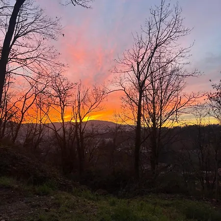 Au Calme * Neuville-sur-Saône
